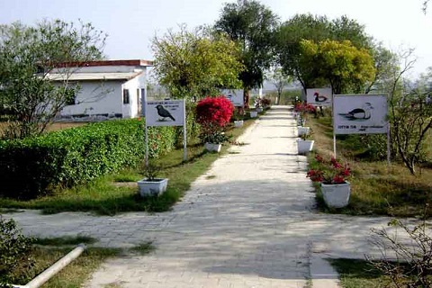 Samaspur Bird Sanctuary